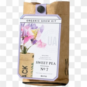 Lily, HD Png Download - sweet pea png