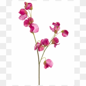 Artificial Flower, HD Png Download - sweet pea png
