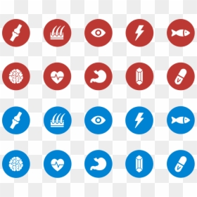 Circle, HD Png Download - pet icon png