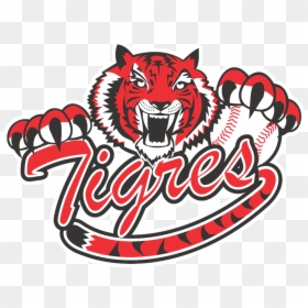 Logo De Los Tigres De Beisbol, HD Png Download - tigres logo png