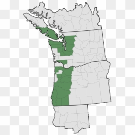 Pacific Northwest, HD Png Download - honeysuckle png