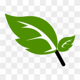 Nature Icon, HD Png Download - green leaf icon png