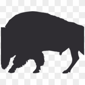 Tasmanian Devil, HD Png Download - buffalo silhouette png