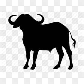 Water Buffalo Silhouette Clipart, HD Png Download - buffalo silhouette png