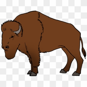Step By Step Buffalo Drawing, HD Png Download - buffalo silhouette png