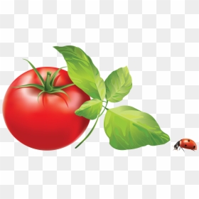Wechat Icon Png, Transparent Png - wechat icon png