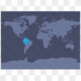Southern Right Whale Dolphin Range, HD Png Download - pink dolphin png