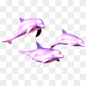 Vaporwave Dolphins, HD Png Download - pink dolphin png
