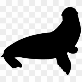 California Sea Lion Silhouette, HD Png Download - california silhouette png