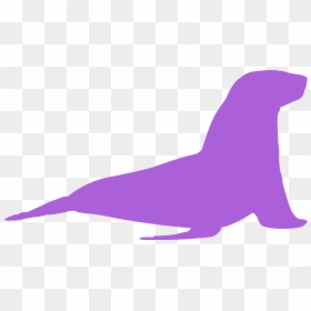 California Sea Lion, HD Png Download - california silhouette png