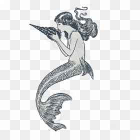 Ida Rentoul Outhwaite Elves And Fairies, HD Png Download - mermaid drawing png