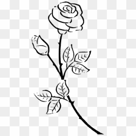 Black And White Rose Drawing, HD Png Download - mason jar outline png