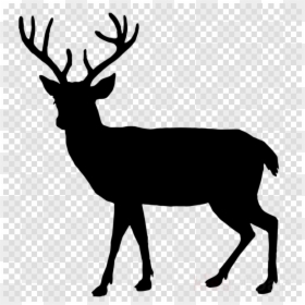 Silhouette Deer, HD Png Download - santa and reindeer silhouette png