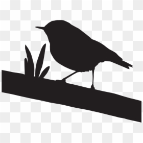 Old World Flycatcher, HD Png Download - california silhouette png