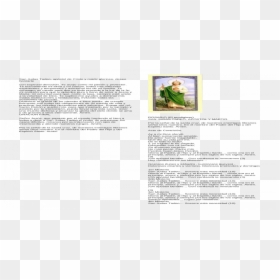 Document, HD Png Download - san judas tadeo png