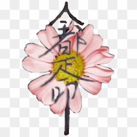 Daisy, HD Png Download - japanese flowers png