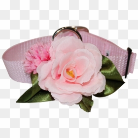 Japanese Camellia, HD Png Download - japanese flowers png
