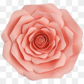 Garden Roses, HD Png Download - japanese flowers png