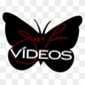 Butterfly, HD Png Download - jenni rivera png