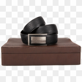Belt, HD Png Download - seals png