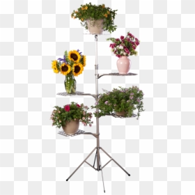 Flower Stand Transparent, HD Png Download - funeral flowers png