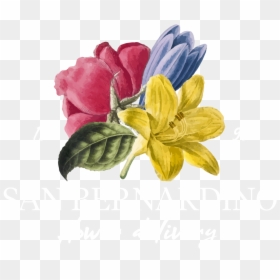 Logo, HD Png Download - funeral flowers png