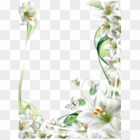 Flower White Frame Png, Transparent Png - funeral flowers png