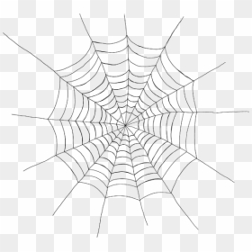 Spider Web, HD Png Download - spider man web png