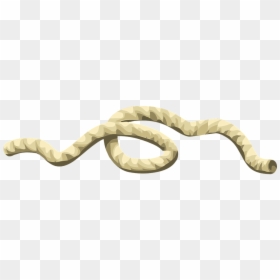 String Rope Transparent, HD Png Download - rope vector png