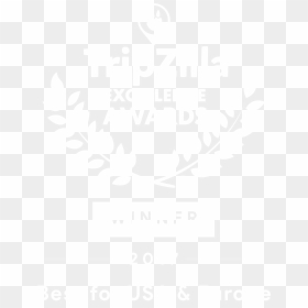 Graphic Design, HD Png Download - and the winner is png