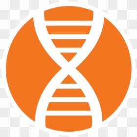 Vcu Biomedical Engineering, HD Png Download - interview icon png