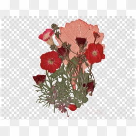 Dried Pressed Flowers Png, Transparent Png - lay png