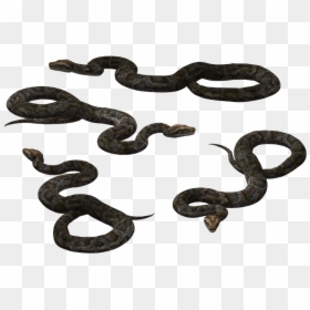 Snake Render Png, Transparent Png - snake silhouette png