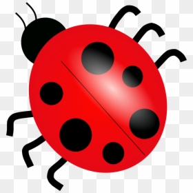 Ladybug Clipart, HD Png Download - lady bugs png