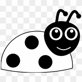 Clip Art Black And White Lady Bugs, HD Png Download - lady bugs png