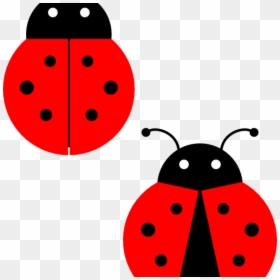 Transparent Background Ladybug Clip Art, HD Png Download - lady bugs png