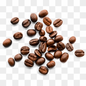 Coffee Beans Top View Png, Transparent Png - cocoa beans png