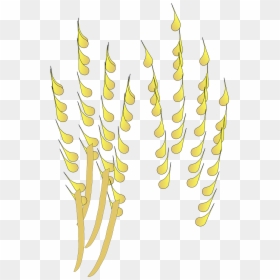 Cultivo De Cereales Png, Transparent Png - corn.png