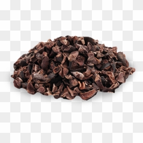 Cocoa Bean, HD Png Download - cocoa beans png