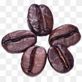Png Coffee Bean Transparent, Png Download - cocoa beans png