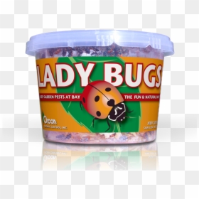 Convenience Food, HD Png Download - lady bugs png