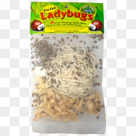 Seed, HD Png Download - lady bugs png