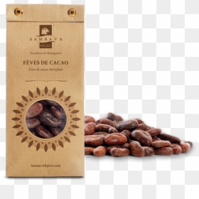 Logo Motor City, HD Png Download - cocoa beans png