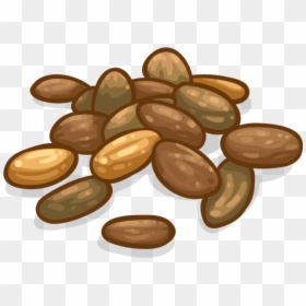 Wood, HD Png Download - cocoa beans png