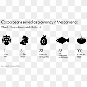 Mcintosh, HD Png Download - cocoa beans png