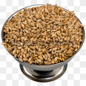Dinkel Wheat, HD Png Download - wheat png image
