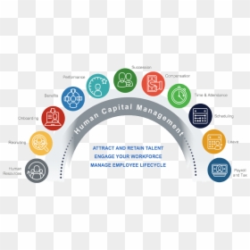 Human Resource Employee Life Cycle, HD Png Download - hr png