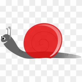 Red Snail Clipart, HD Png Download - slow png