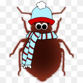 Cold Bug, HD Png Download - bed bug png
