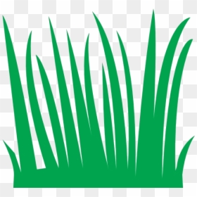 Cartoon Long Grass, HD Png Download - grass blades png